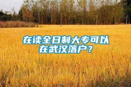 在读全日制大专可以在武汉落户？