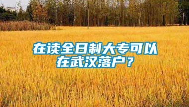 在读全日制大专可以在武汉落户？