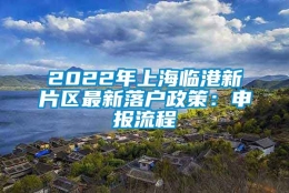 2022年上海临港新片区最新落户政策：申报流程