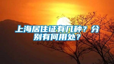 上海居住证有几种？分别有何用处？