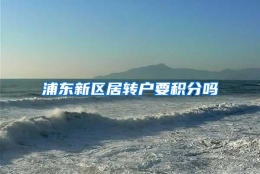 浦东新区居转户要积分吗