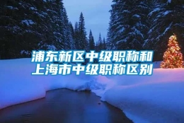 浦东新区中级职称和上海市中级职称区别