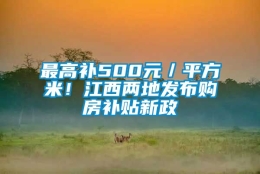 最高补500元／平方米！江西两地发布购房补贴新政