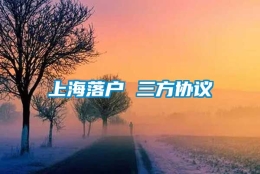 上海落户 三方协议