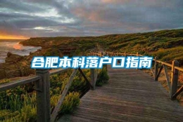 合肥本科落户口指南