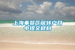 上海奉贤区居转户月中提交材料