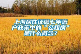 上海居住证满七年落户政策中的“公租房”是什么概念？