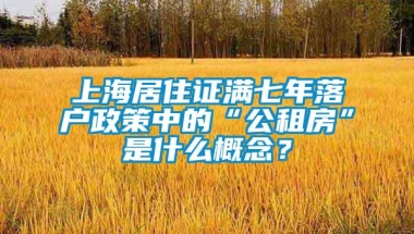 上海居住证满七年落户政策中的“公租房”是什么概念？