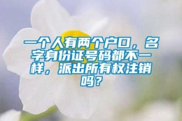 一个人有两个户口，名字身份证号码都不一样，派出所有权注销吗？