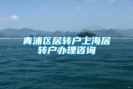 青浦区居转户上海居转户办理咨询