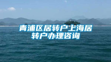 青浦区居转户上海居转户办理咨询