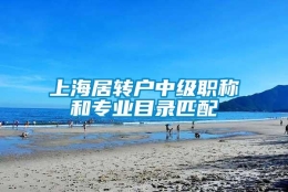 上海居转户中级职称和专业目录匹配