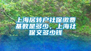 上海居转户社保缴费基数是多少，上海社保交多少钱