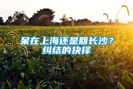 呆在上海还是回长沙？纠结的抉择