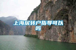 上海居转户指导可以吗