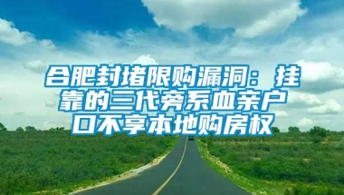 合肥封堵限购漏洞：挂靠的三代旁系血亲户口不享本地购房权