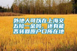 外地人可以在上海交五险一金吗，还有能否转回原户口所在地