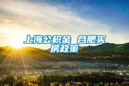 上海公积金 合肥买房政策