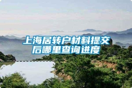 上海居转户材料提交后哪里查询进度