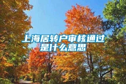 上海居转户审核通过是什么意思