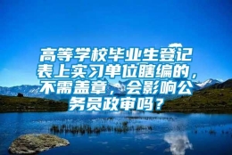 高等学校毕业生登记表上实习单位瞎编的，不需盖章，会影响公务员政审吗？