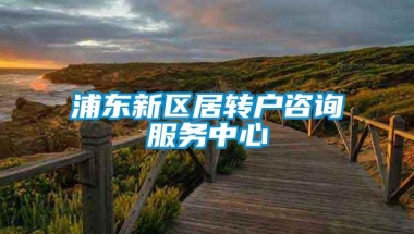 浦东新区居转户咨询服务中心