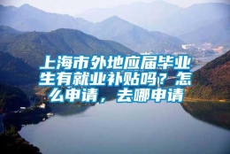 上海市外地应届毕业生有就业补贴吗？怎么申请，去哪申请