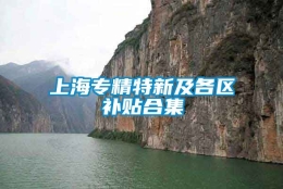 上海专精特新及各区补贴合集