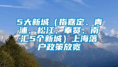 5大新城（指嘉定、青浦、松江、奉贤、南汇5个新城）上海落户政策放宽