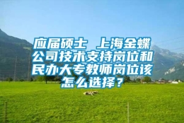 应届硕士 上海金蝶公司技术支持岗位和民办大专教师岗位该怎么选择？