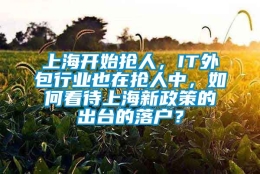 上海开始抢人，IT外包行业也在抢人中，如何看待上海新政策的出台的落户？