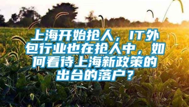 上海开始抢人，IT外包行业也在抢人中，如何看待上海新政策的出台的落户？