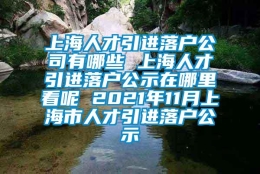 上海人才引进落户公司有哪些 上海人才引进落户公示在哪里看呢 2021年11月上海市人才引进落户公示