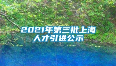 2021年第三批上海人才引进公示