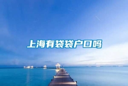 上海有袋袋户口吗