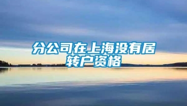 分公司在上海没有居转户资格