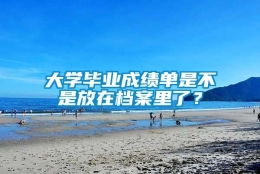 大学毕业成绩单是不是放在档案里了？