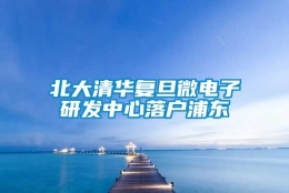 北大清华复旦微电子研发中心落户浦东