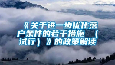 《关于进一步优化落户条件的若干措施 （试行）》的政策解读