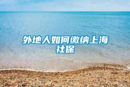 外地人如何缴纳上海社保