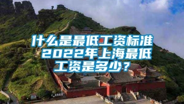 什么是最低工资标准 2022年上海最低工资是多少？