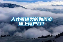 人才引进类的如何办理上海户口？