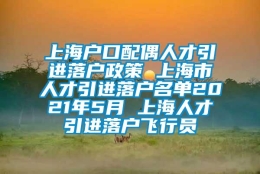 上海户口配偶人才引进落户政策 上海市人才引进落户名单2021年5月 上海人才引进落户飞行员