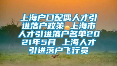 上海户口配偶人才引进落户政策 上海市人才引进落户名单2021年5月 上海人才引进落户飞行员