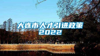 大连市人才引进政策2022