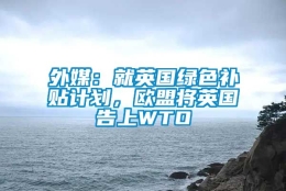 外媒：就英国绿色补贴计划，欧盟将英国告上WTO