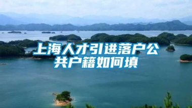 上海人才引进落户公共户籍如何填