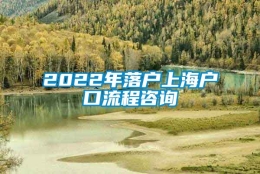 2022年落户上海户口流程咨询