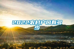 2022农村户口有多少