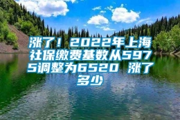 涨了！2022年上海社保缴费基数从5975调整为6520 涨了多少